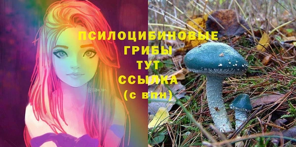 гашишное масло Нефтекумск