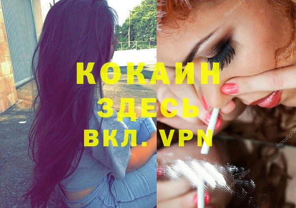 мдпв Горняк