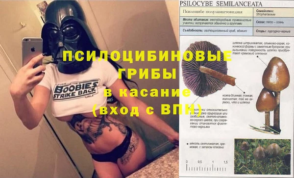 каннабис Горно-Алтайск