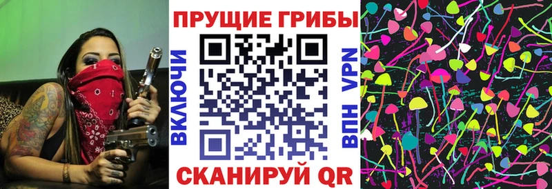 купить наркотик Могоча Галлюциногенные грибы MAGIC MUSHROOMS